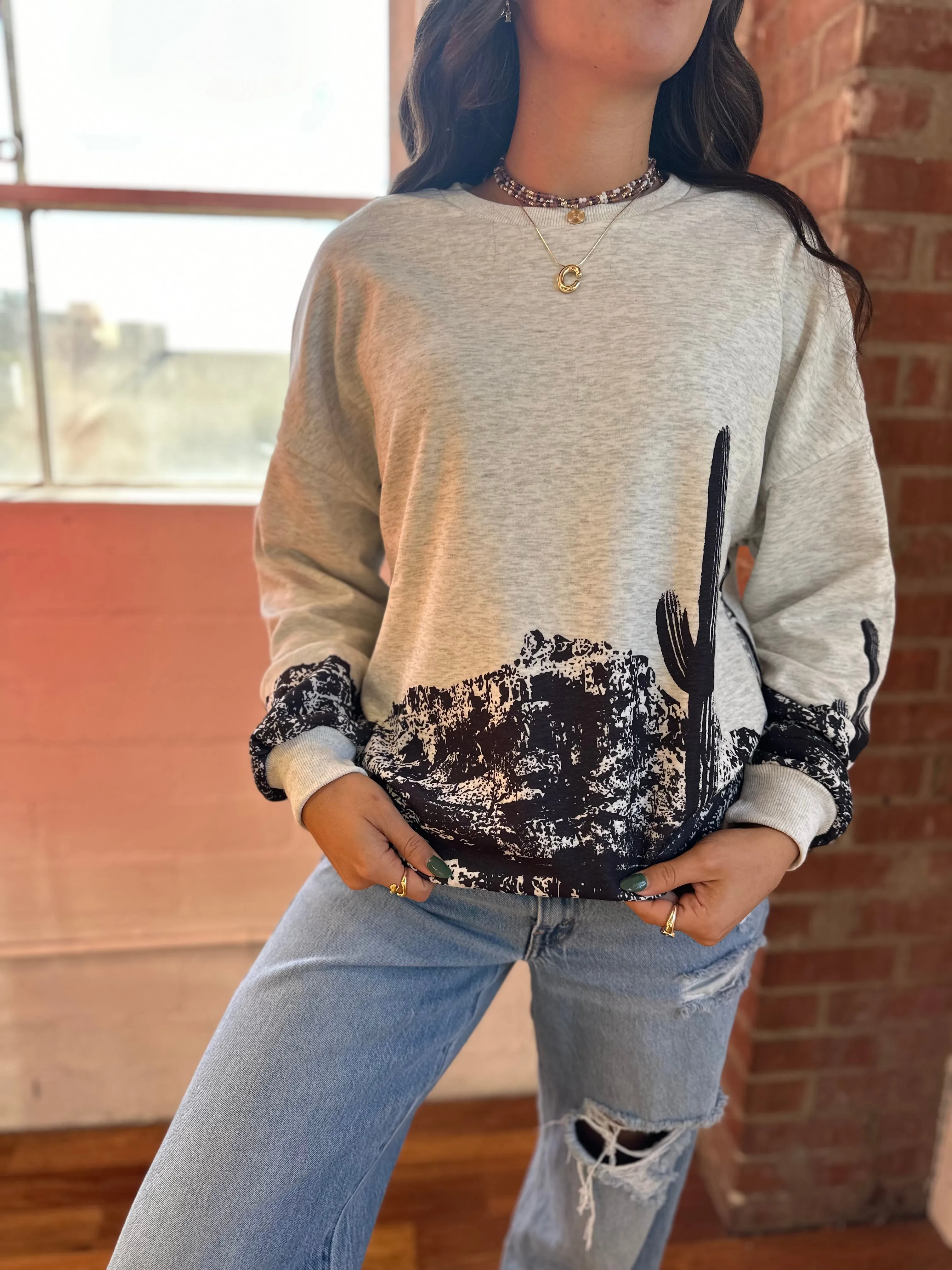 Arizona Desert, cactus black and grey sweatshirt